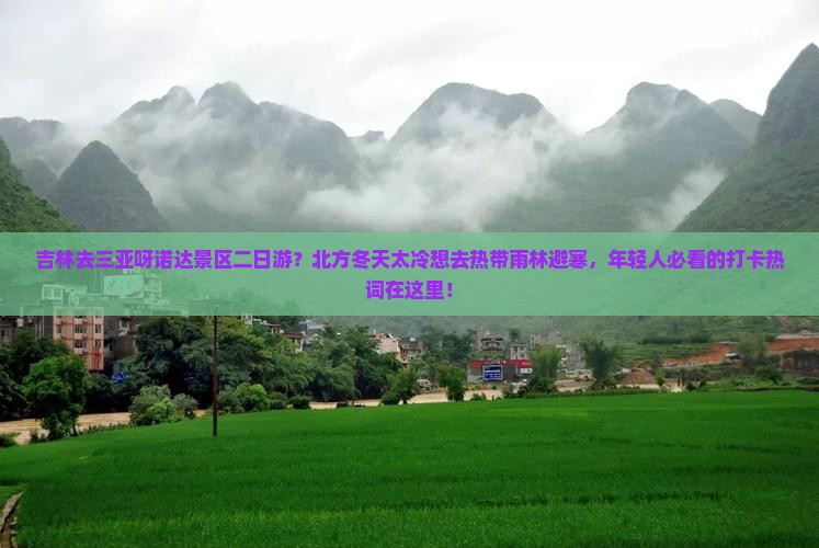 吉林去三亚呀诺达景区二日游？北方冬天太冷想去热带雨林避寒，年轻人必看的打卡热词在这里！