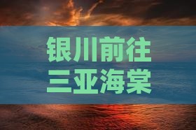 银川前往三亚海棠湾四日游路线及价格