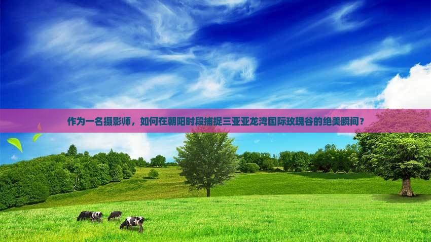 作为一名摄影师，如何在朝阳时段捕捉三亚亚龙湾国际玫瑰谷的绝美瞬间？