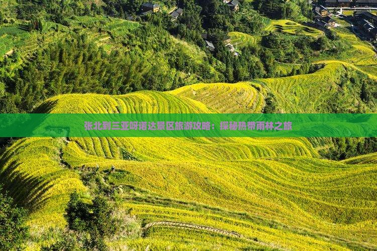 张北到三亚呀诺达景区旅游攻略：探秘热带雨林之旅