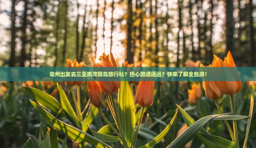 亳州出发去三亚南湾猴岛旅行社？担心路途遥远？快来了解全包游！