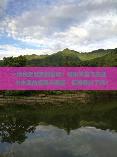 一场说走就走的冒险：张家界直飞三亚，小东海的海风与奇迹，你准备好了吗？