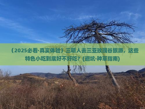 三明前往三亚亚龙湾国际玫瑰谷旅游小吃