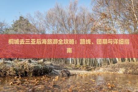 桐城去三亚后海旅游