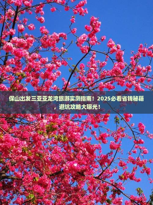 保山出发三亚亚龙湾旅游打卡点