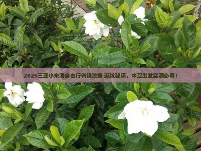 中卫去三亚小东海自由行