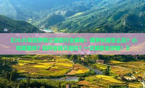 拉萨前往三亚椰梦长廊旅游小吃