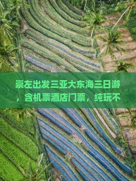 崇左出发三亚大东海三日游