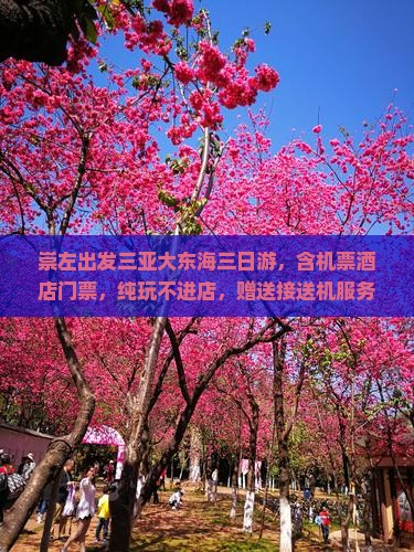 崇左出发三亚大东海三日游