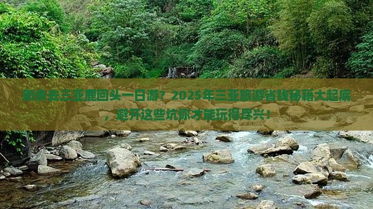 新余去三亚鹿回头一日游