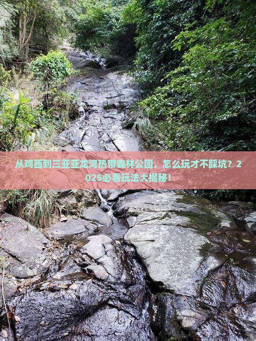 鸡西去三亚亚龙湾热带森林公园哪里玩