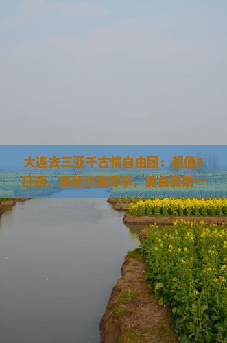 大连去三亚千古情自由团