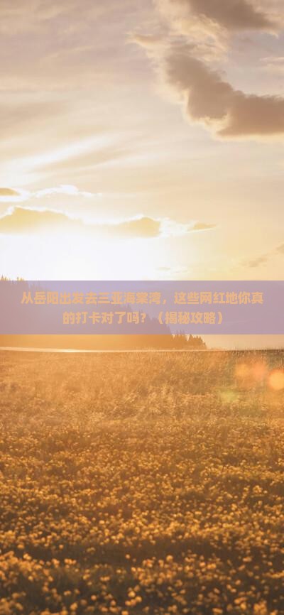 岳阳出发三亚海棠湾旅游网红地点