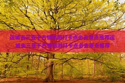 运城去三亚千古情旅游打卡点