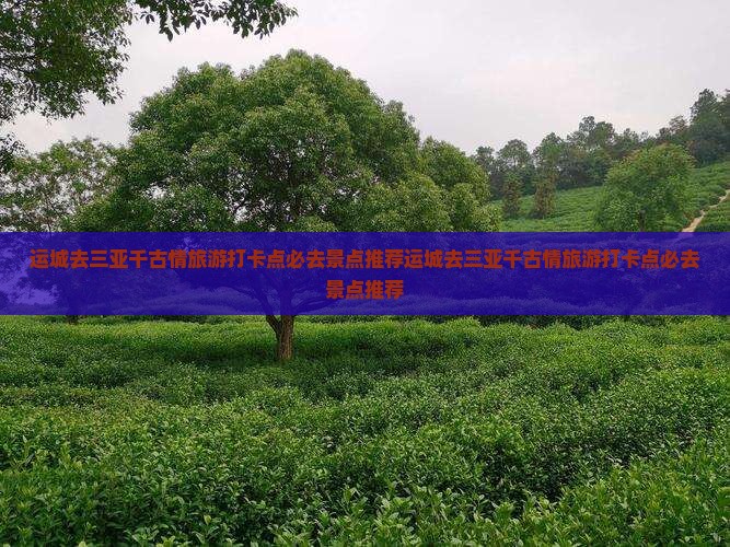 运城去三亚千古情旅游打卡点