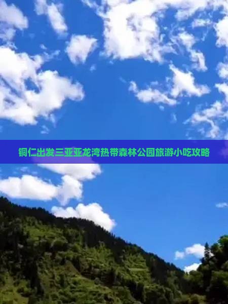 铜仁出发三亚亚龙湾热带森林公园旅游小吃