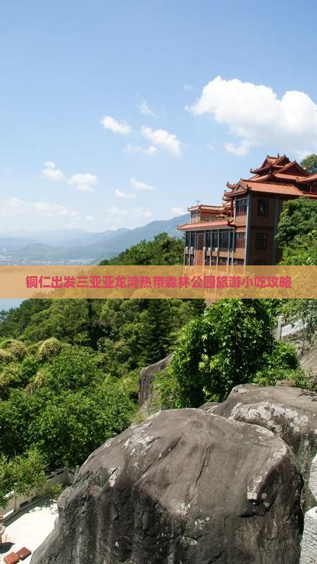 铜仁出发三亚亚龙湾热带森林公园旅游小吃