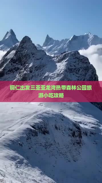 铜仁出发三亚亚龙湾热带森林公园旅游小吃