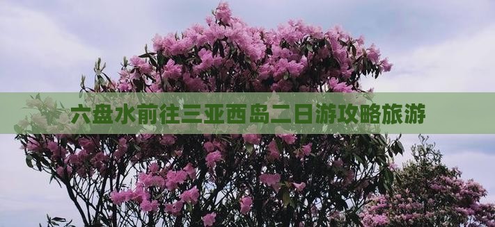 六盘水前往三亚西岛二日游