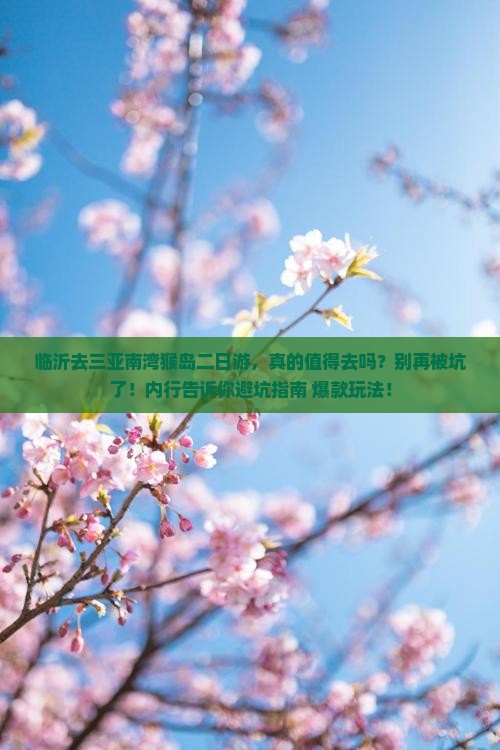 临沂前往三亚南湾猴岛二日游