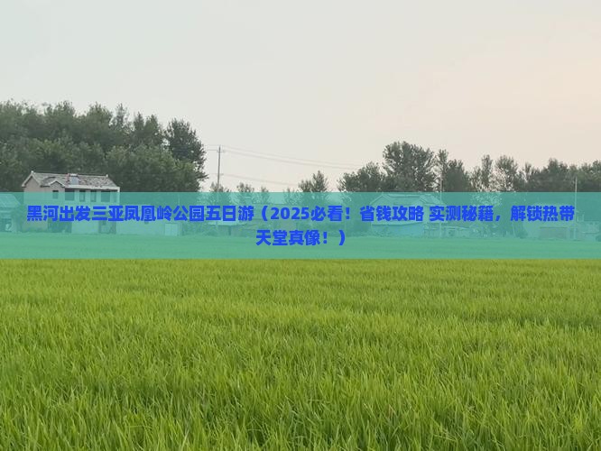 黑河出发三亚凤凰岭公园五日游