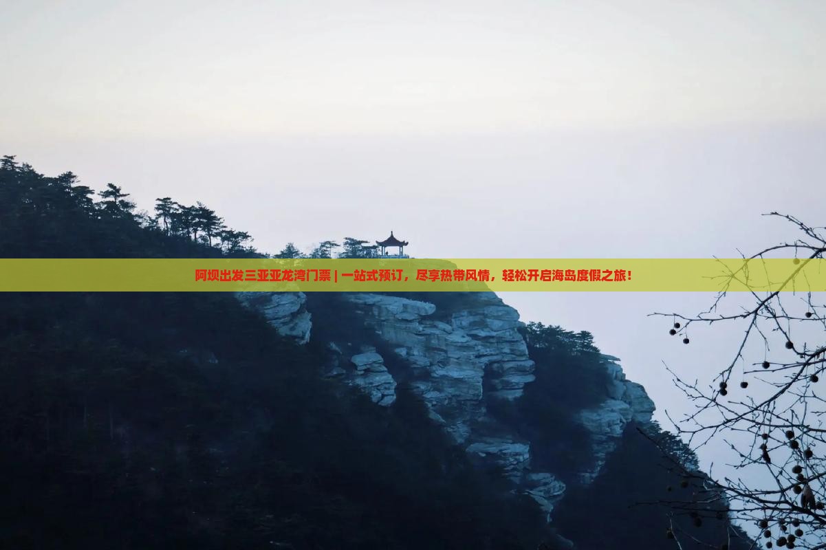 阿坝出发三亚亚龙湾门票