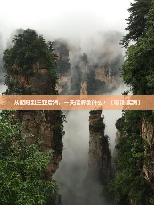 衡阳去三亚后海一日游