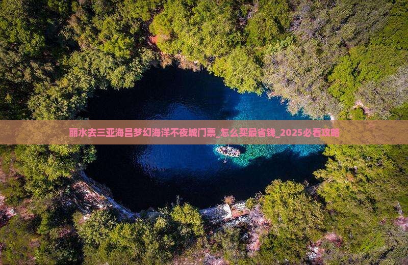 丽水去三亚海昌梦幻海洋不夜城门票