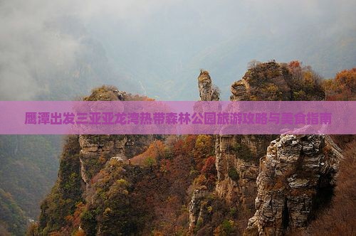 鹰潭出发三亚亚龙湾热带森林公园旅游小吃