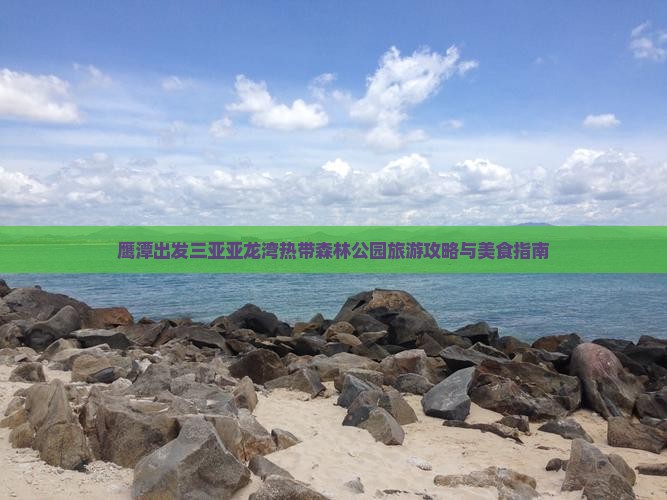 鹰潭出发三亚亚龙湾热带森林公园旅游小吃