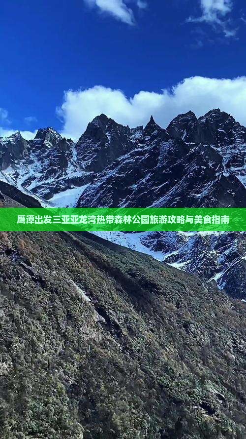 鹰潭出发三亚亚龙湾热带森林公园旅游小吃