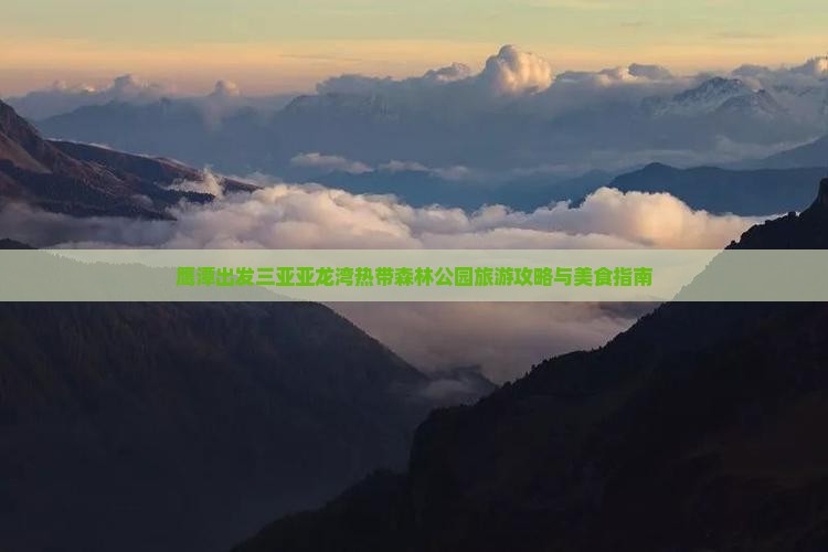 鹰潭出发三亚亚龙湾热带森林公园旅游小吃