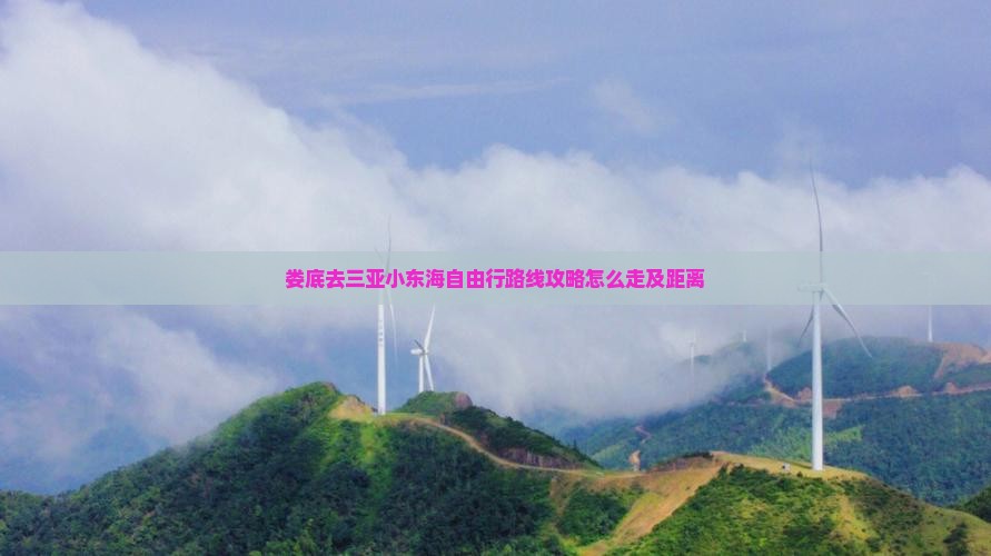 娄底去三亚小东海自由行