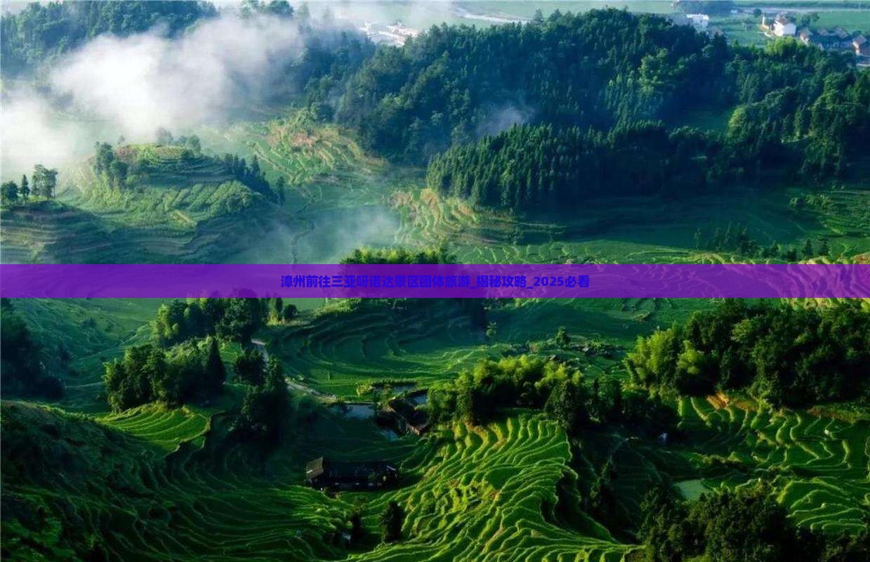 漳州前往三亚呀诺达景区团体旅游
