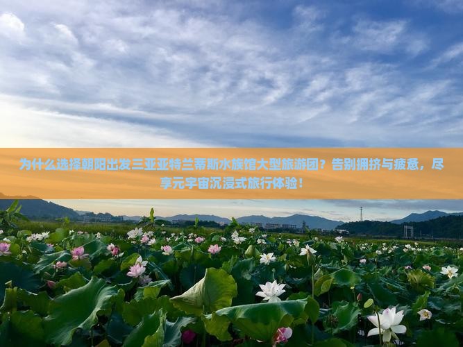 朝阳出发三亚亚特兰蒂斯水族馆大型旅游团
