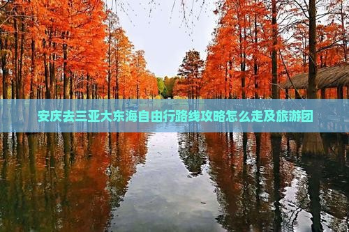 安庆去三亚大东海自由行