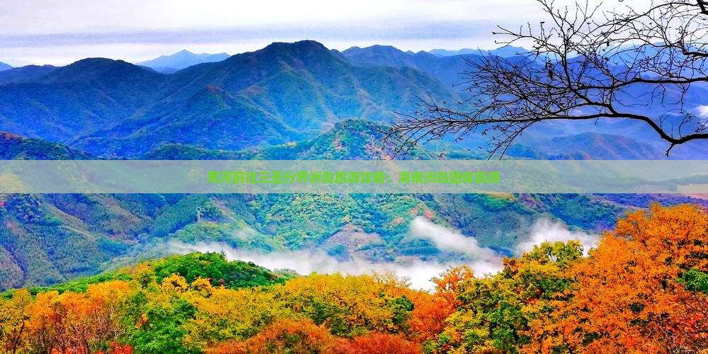 黑河前往三亚分界洲岛团体旅游