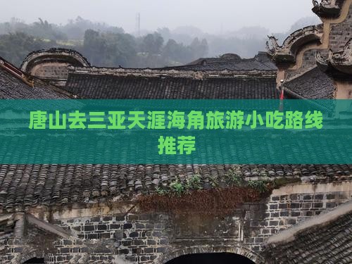 唐山去三亚天涯海角旅游小吃