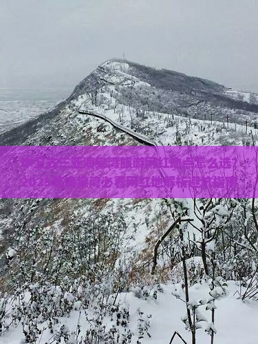 中卫去三亚海棠湾旅游网红地点