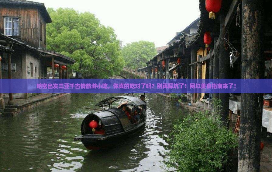 哈密出发三亚千古情旅游小吃