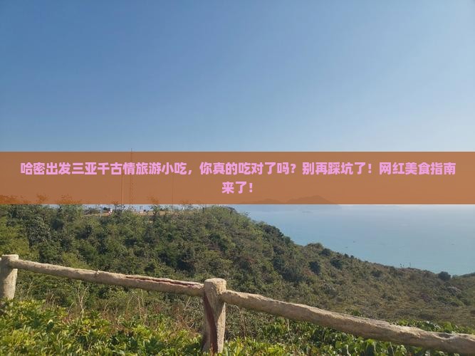 哈密出发三亚千古情旅游小吃