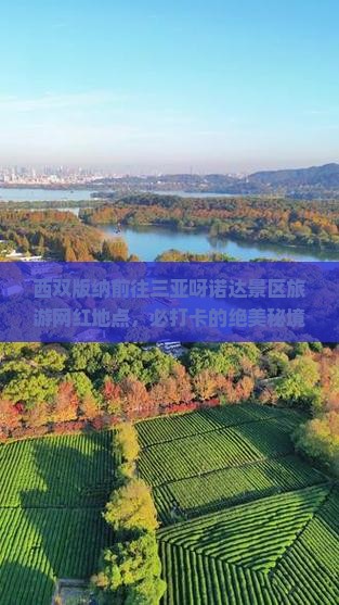 西双版纳前往三亚呀诺达景区旅游网红地点