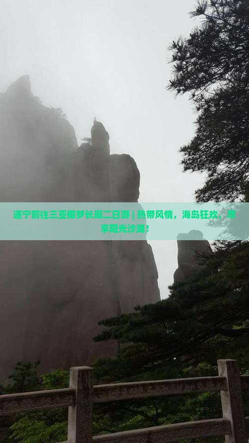 遂宁前往三亚椰梦长廊二日游