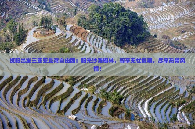 资阳出发三亚亚龙湾自由团