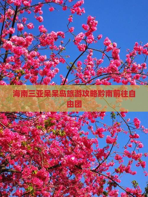 黔南前往三亚呆呆岛自由团
