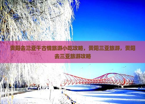 贵阳去三亚千古情旅游小吃