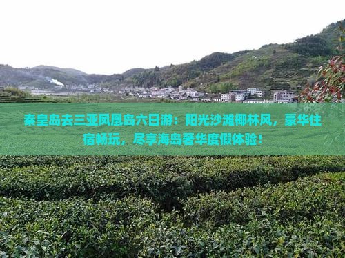 秦皇岛去三亚凤凰岛六日游