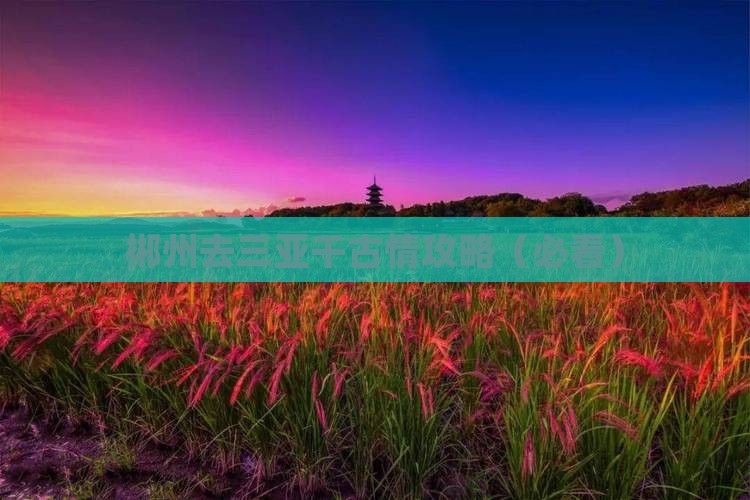 郴州去三亚千古情攻略