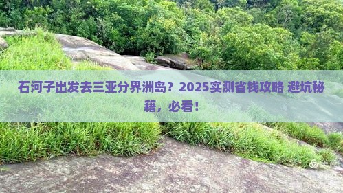 石河子去三亚分界洲岛个人游