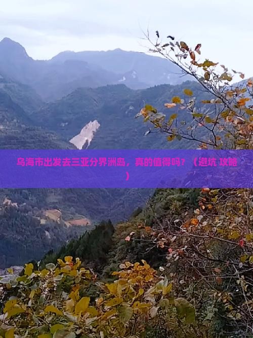 乌海市前往三亚分界洲岛团体旅游